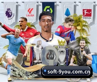 soft-9you.com.cn APP